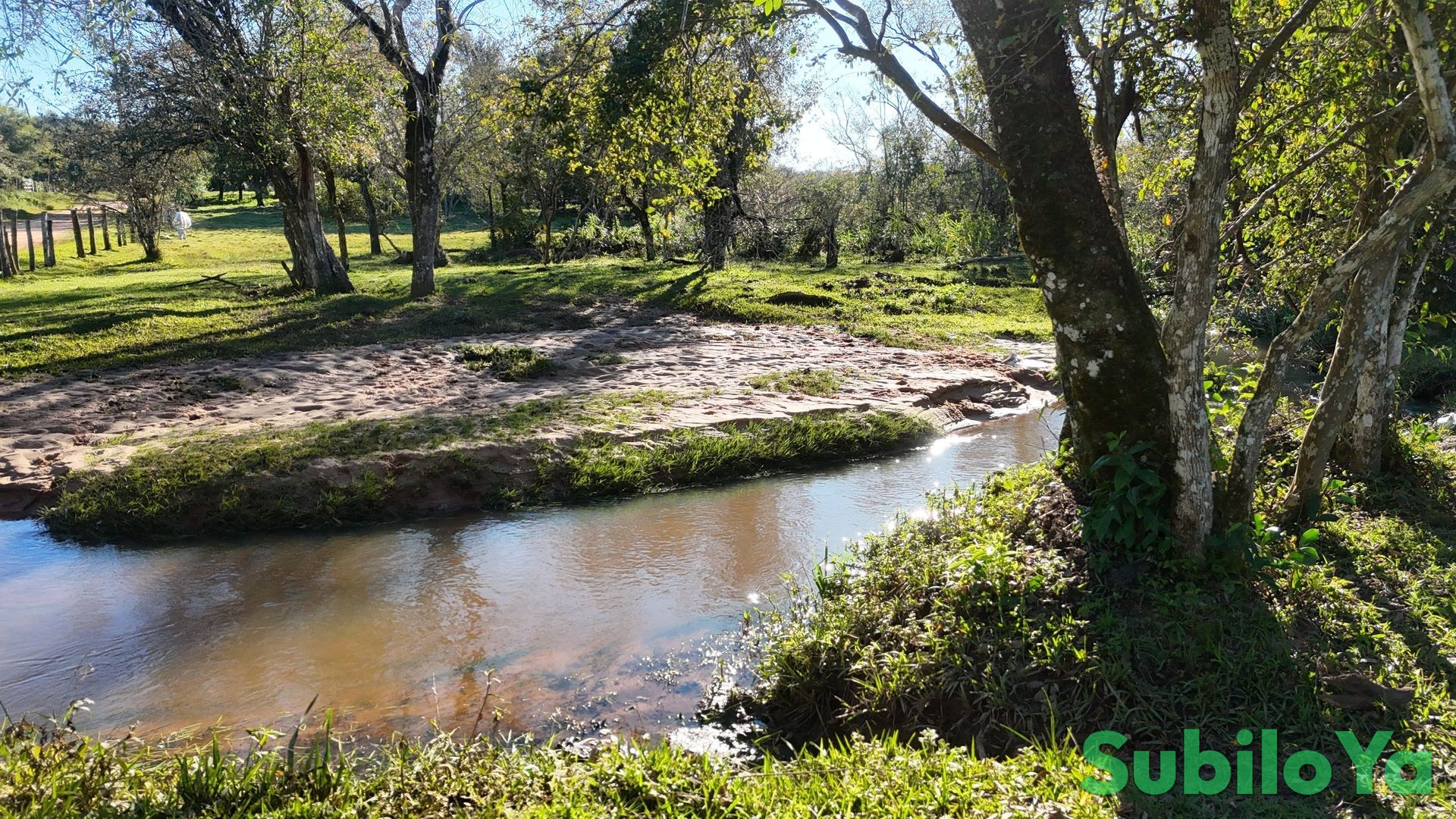 Teilbares Grundstück ab 4 ha bei Colonia Independencia – mit Wald, Freiflächen und Bach